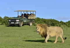 Game Drive