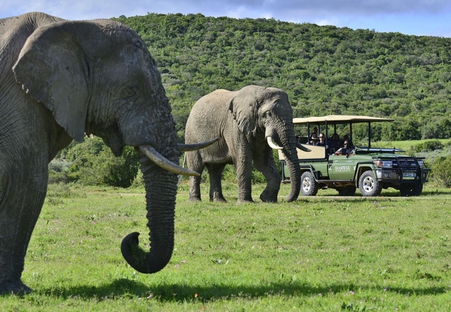 Game Drive