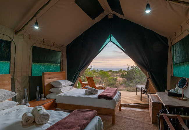 Explorer Guest Tent