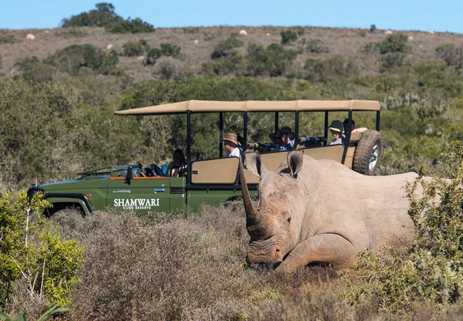 Shamwari Game Reserve