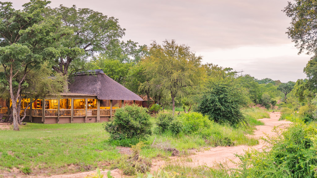 shindzela tented safari camp timbavati