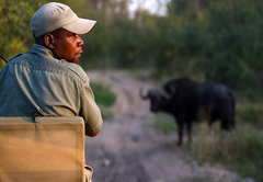 Simbambili Game Lodge