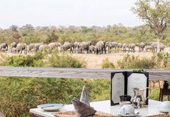 Simbambili Game Lodge