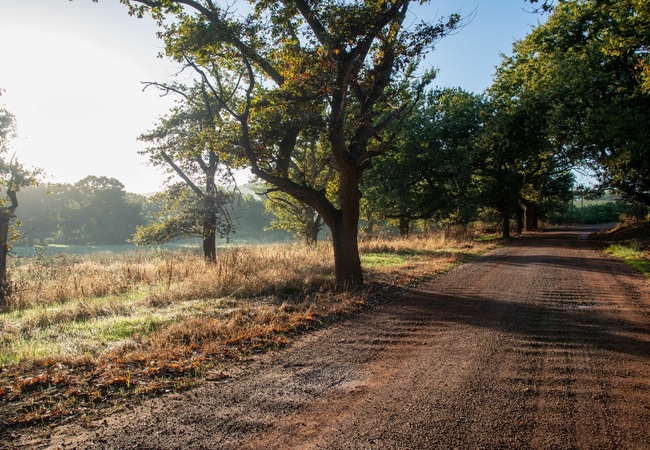 The Farm