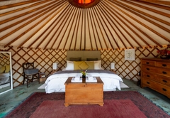 Southern Yurts Forest View