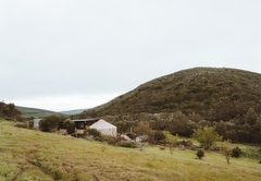 Southern Yurts Forest View