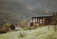 Southern Yurts Forest View