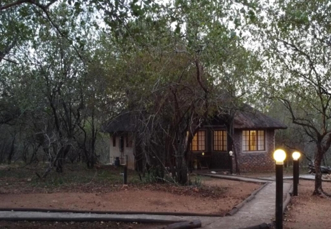 South Safari Lodge