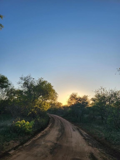 Stella Bush Lodge