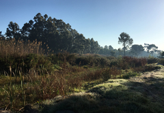 Stellar Overberg Travellers Lodge