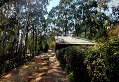 Elands Valley Strawberry Fields