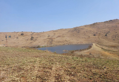 Elands Valley Strawberry Fields