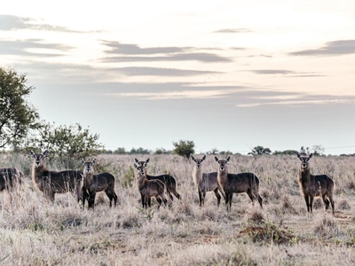 Stroomrivier Lodge