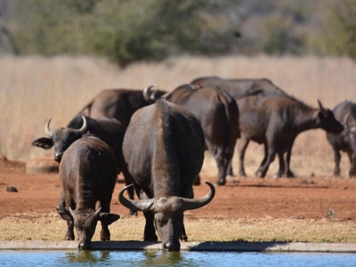 Stroomrivier Lodge