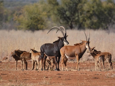 Stroomrivier Lodge