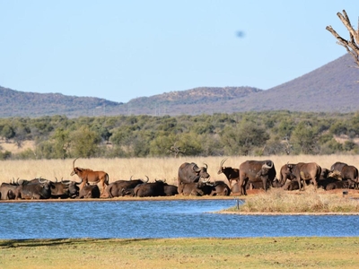 Stroomrivier Lodge