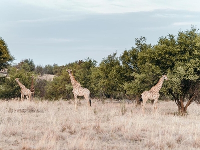 Stroomrivier Lodge