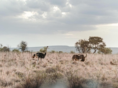 Stroomrivier Lodge