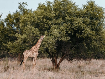 Stroomrivier Lodge