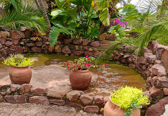 Garden by pool