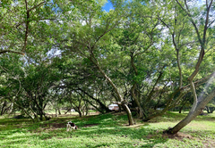 Summerplace Game Reserve