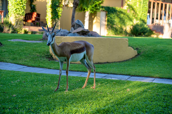 Sun River Kalahari Lodge