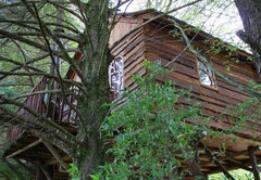 Sycamore Avenue Treehouses