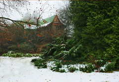 Sycamore Avenue Treehouses