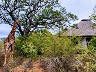 Taaibos Bush Lodge