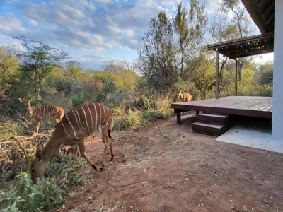 Taaibos Bush Lodge