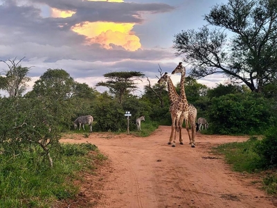 Taaibos Bush Lodge