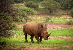 Kubu Metsi Lodge