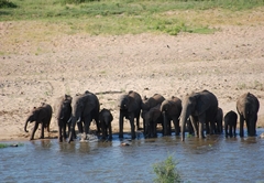 Tamboti River Lodge