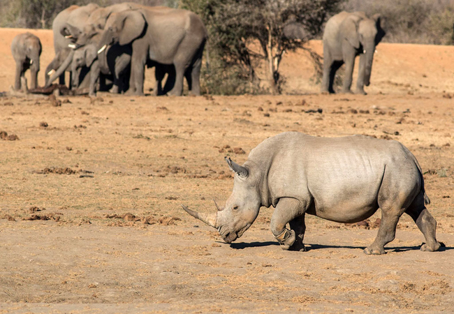 Tau Game Lodge