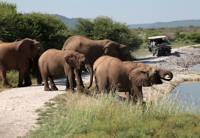 Tau Game Lodge