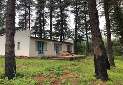 Tegwaan Pine Cottage