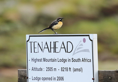 Tenahead Mountain Lodge