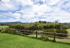 View from The Homestead