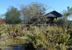 Lion Cabins