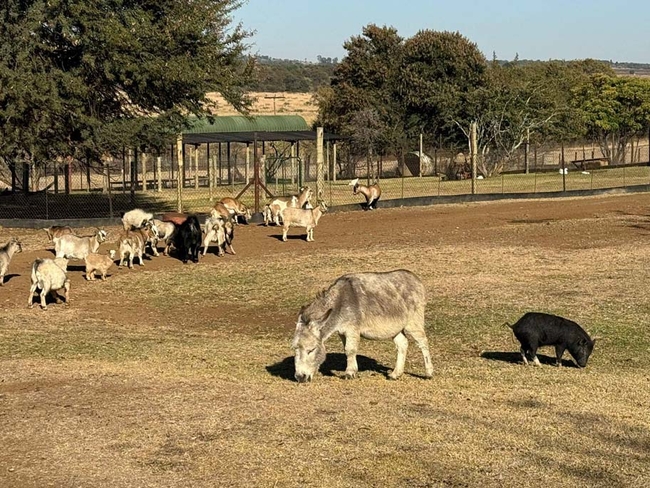 Thabametsi Farm