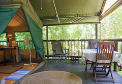 Big and Small Bumble Bee Tents