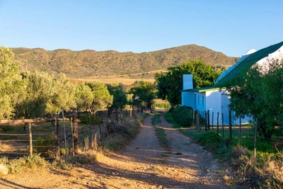 The Blue Cow Barn