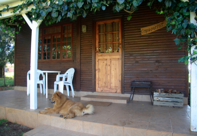 Cape Parrot Cottage