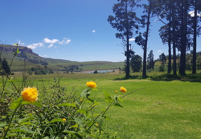 View of Driekloof Dam