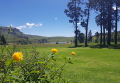 View of Driekloof Dam