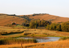 View from The Stables