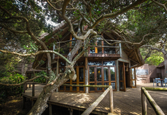 Thonga Beach Lodge