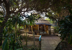 Thonga Beach Lodge