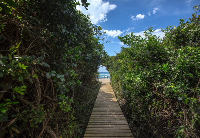 Thonga Beach Lodge