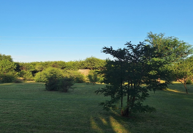 Thorn Tree Bush Camp 